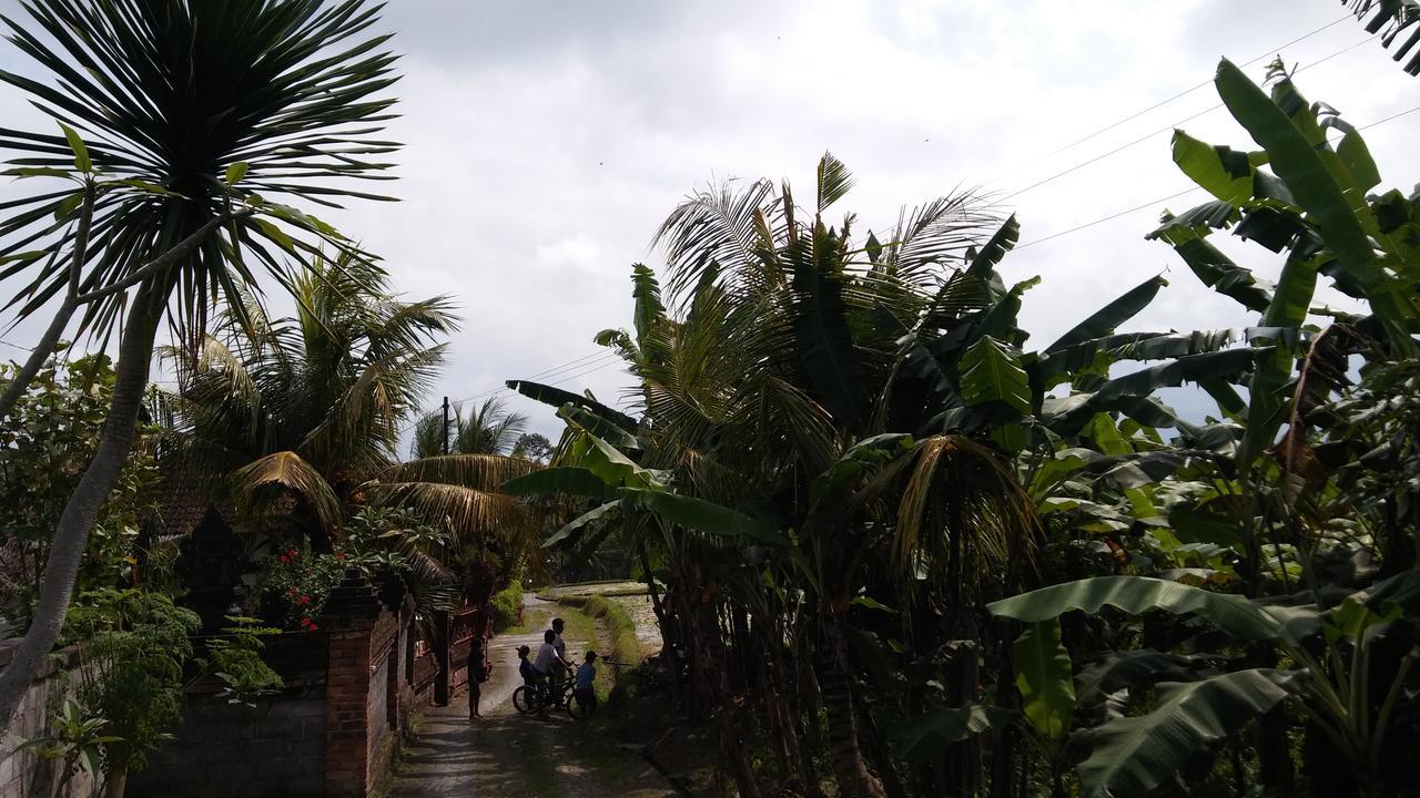 Kasih Sayang House Bed & Breakfast Ubud  Exterior photo